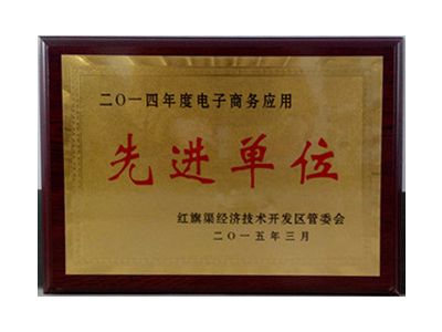 電子商務(wù)應(yīng)用先 進(jìn)單位